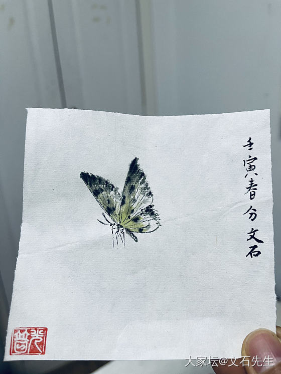 春分时节，雨也纷纷。
疫情防控，繁花无寻。
写此蝴蝶，郊外踏春。