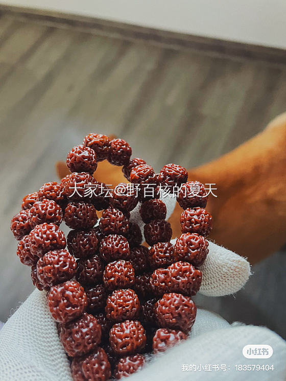 五年小金刚_菩提子