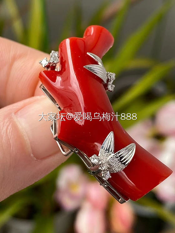 进来就是坑_珍珠珊瑚