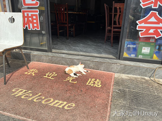 今年清明没有雨纷纷_翡翠