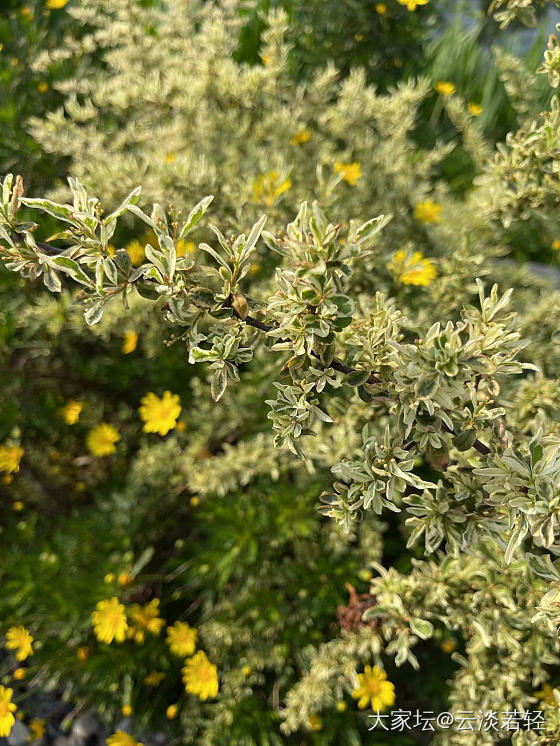 放假第一天，难得天气好，出门晒晒太阳盘盘珠子_蜜蜡