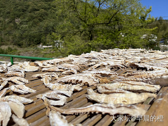 今日·回村的诱惑_浙江