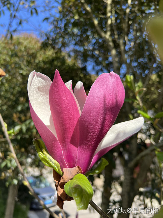 今日·回村的诱惑_浙江