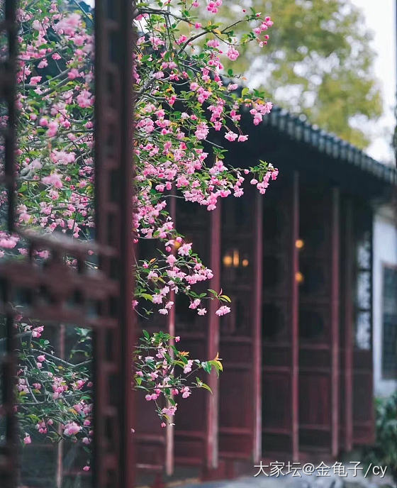 响应号召！上点美美的风景，疫情这几年，太想出去玩了，现在别说出去，本市逛个植物园..._景色