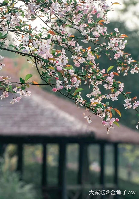 响应号召！上点美美的风景，疫情这几年，太想出去玩了，现在别说出去，本市逛个植物园..._景色