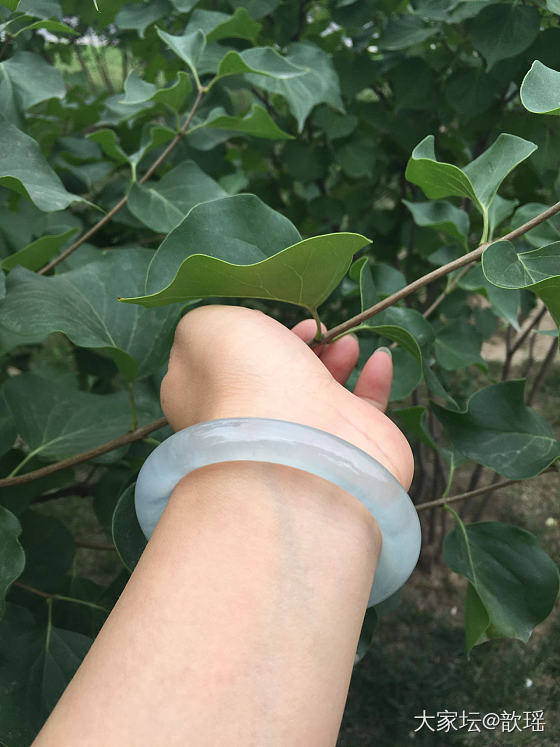 相应号召，晒翠翠_翡翠