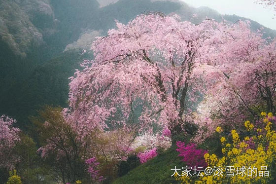 山有峰顶，湖有彼岸，在人生漫漫长途中万物皆有回转。_景色