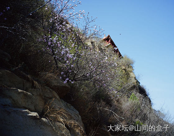 踏青，暖暖_摄影