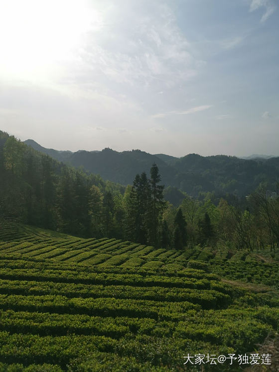 太阳出来，秀一下没舍得寄走的金子们。_金