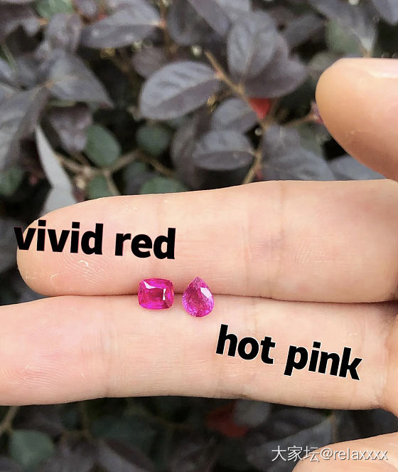 vivid red VS hot pink_首饰