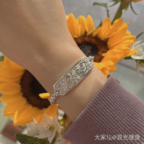 向日葵里长出两只肥啾_银