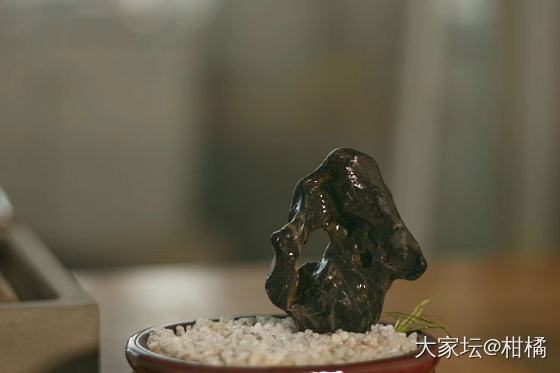 我开始玩石头了_玉石