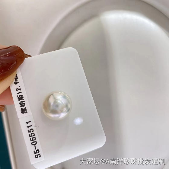 维纳斯澳白_珍珠