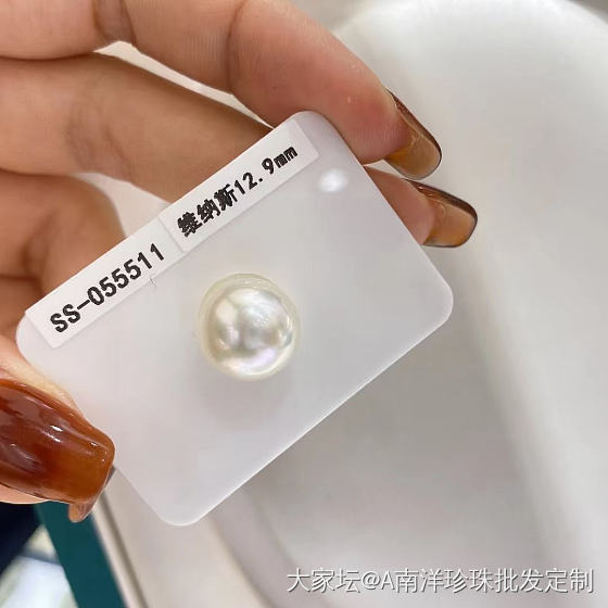 维纳斯澳白_珍珠