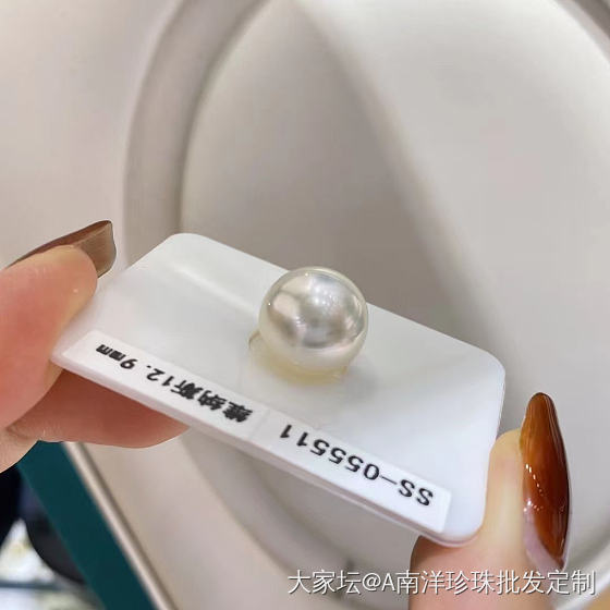 维纳斯澳白_珍珠