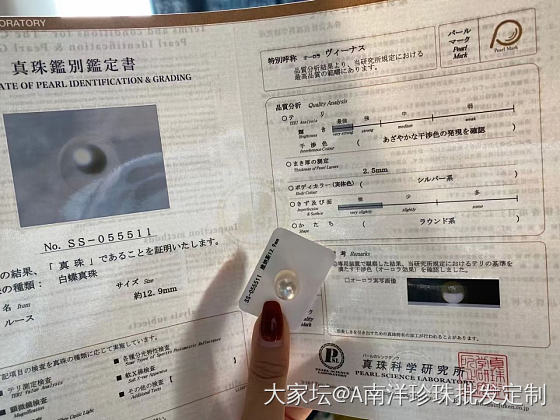 维纳斯澳白_珍珠