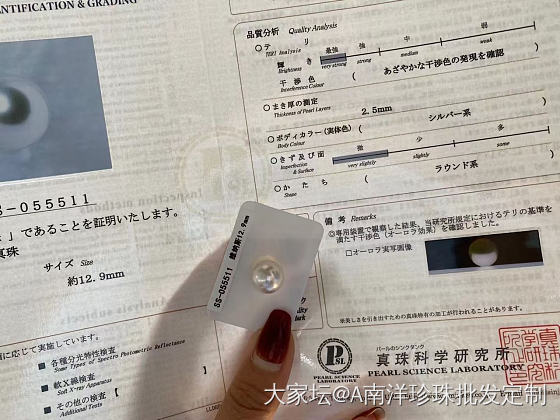 维纳斯澳白_珍珠