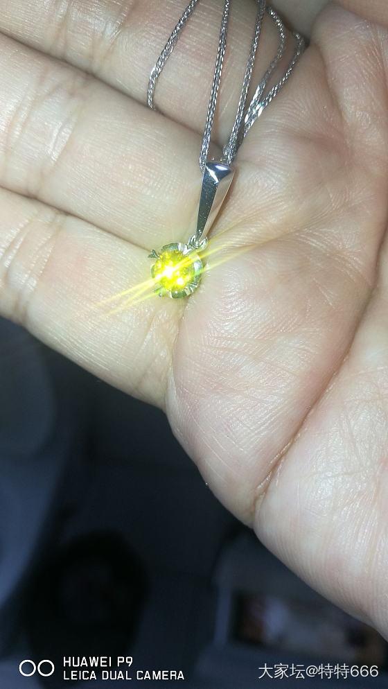 培育钻很香，通通安排_网店商家培育钻