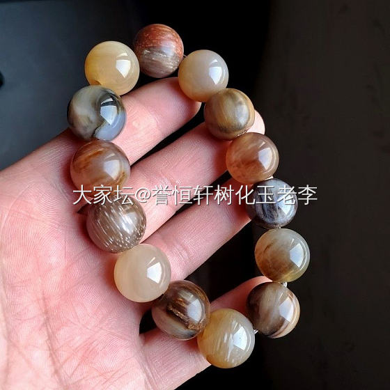 各种树木化石凑一条，东拼西凑树化玉手串系列！_树化玉