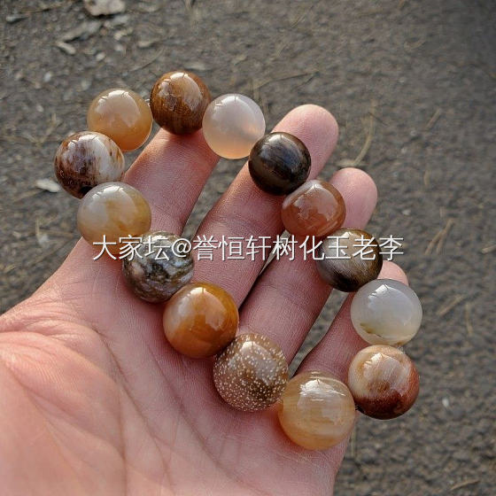 各种树木化石凑一条，东拼西凑树化玉手串系列！_树化玉