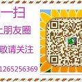 【蓝蓝翡翠】翡翠新货8件~