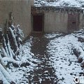 怀念的那一场雪