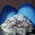 大家帮忙鉴别一下是什么石头？