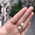 酱油归来，晒akoya小套装