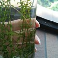 好玩的生态瓶