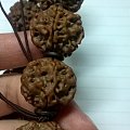大金刚！