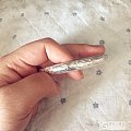 第二个珍南瓜——南瓜泥背牡丹