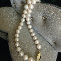 汕头南澳有海水珍珠吗？大颗的也不贵？