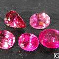小白发发自己收的小rubellite