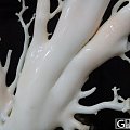白珊瑚树摆件