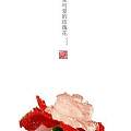 [静物]利用窗口光线创作的“一朵可爱的玫瑰花”欢迎欣赏~