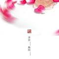 [静物]利用窗口光线创作的“一朵可爱的玫瑰花”欢迎欣赏~