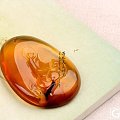 玩琥珀还是会着迷的