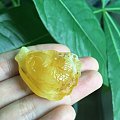 蜜蜡精雕鱼牌，精致牡丹花