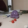 丁香紫玉 我是来骗分滴…………