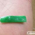 辣椒青竹节