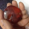 一块水胆老琥珀