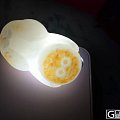 三不猴到啦 上自拍图 已收货了
