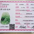 福寿（蝠兽）如意A货挂件！估估价~