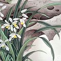 《广广的十二花神记》二月花神——春兰