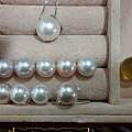 去三亚几天带回来的战利品！！