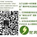 贺氏碧-精品碧玉老坑菠菜绿“福寿圆满·”玉佩