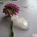 新人秀自己的宝贝，求加分