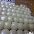 白玉白菩提根8*10手串108手串---特价180元