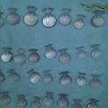 新到的芙蓉石福袋祼石，价美物兼。10-30卡拉的都有