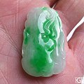朋友们看飘绿的荷叶怎样？多少钱可以入